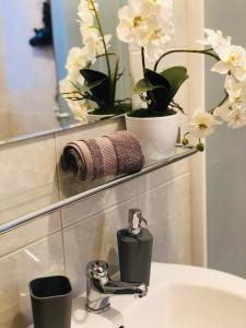 ボジー・ダルにあるApartmán U Tří smrkůのバスルーム(花のシンク、鏡付)