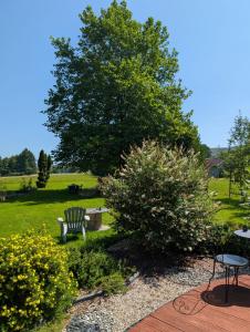 Φωτογραφία από το άλμπουμ του Chambre d'hôte Nature Domaine du Bagnerot σε La Chapelle-aux-Bois