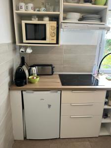 a small kitchen with a counter and a microwave at Studio tout confort proche centre et Lac avec 2 vélos prêtés in Annecy +5 photos