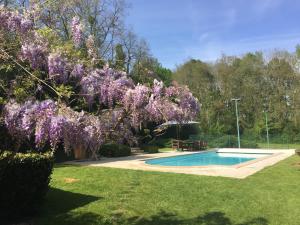 a tree with purple flowers next to a swimming pool at Charmant manoir Sud de Paris in Saint-Sauveur-sur-École