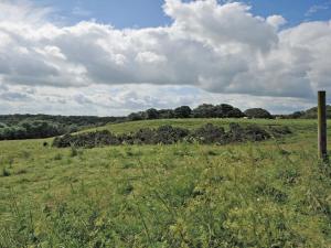 un champ d'herbe verte avec un poteau dans celui-ci dans l'établissement Lapwing Cottage - E5028, à Birtley 4 autres photos