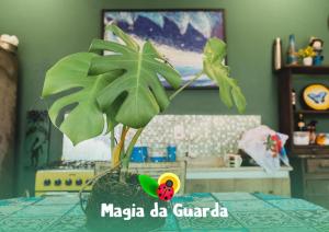 パリョサにあるPousada Magia da Guardaの台の上に座る植物