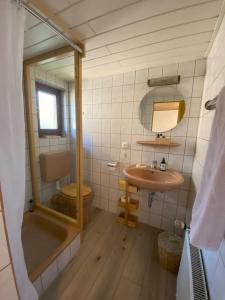 a bathroom with a sink and a toilet and a mirror at Auszeit Ferienhaus Nr 2 in Sierscheid +13 photos