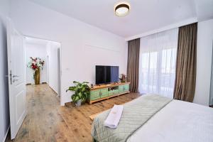 a bedroom with a bed and a flat screen tv at Primaverii Dream Residence in Chişoda