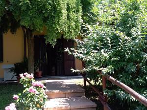 Κήπος έξω από το Villa Amabel