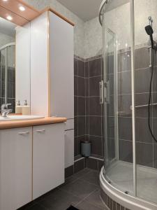 un bagno con doccia e lavandino di Cosy and Chic Appartement moderne proche gare a Mantes-la-Jolie