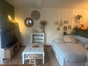 TV a/nebo společenská místnost v ubytování Grand studio neuf en rez de jardin avec terrasse