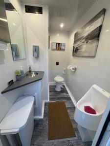 Un baño blanco con lavabo e inodoro. en Fredericksburg PA Farm Stay, 