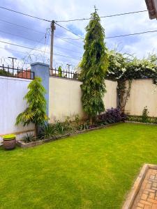 a yard with green grass and a fence at Jay Jay Homes in Kampala