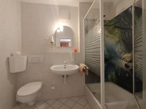 a bathroom with a toilet and a sink and a shower at Gasthaus & Hotel Grünhof in Frankfurt Oder +11 photos