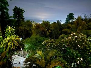 a view of a garden with trees and plants at Villa Kep Sea & Mountains in Phumĭ Ŏng Char