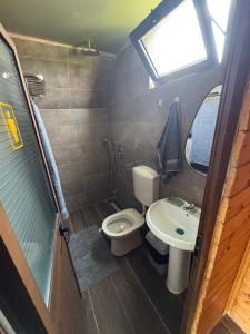 a small bathroom with a toilet and a sink at Treeolives in Shkodër