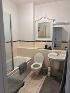 a bathroom with a toilet and a sink and a bath tub at Spacious 2 Bed Apartment near Dublin Airport in Celbridge