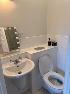 a small bathroom with a toilet and a sink at Spacious 2 Bed Apartment near Dublin Airport in Celbridge