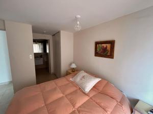 a bedroom with a bed with a pink blanket at Amplio departamento céntrico Plaza Belgrano in San Salvador de Jujuy