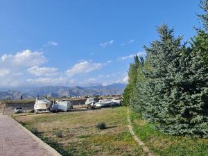 a group of boats parked in a field with a tree at eco- tour in Cholpon-Ata
