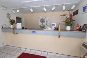 オスウェゴにあるKnights Inn Oswego Eastの植物が置かれたカウンターのある待合室