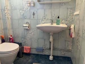 a bathroom with a sink and a toilet at Spacious apartment with lake view only 15 minutes from Vimmerby in Hällerum +14 photos
