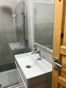 a bathroom with a sink and a shower at Grattacielo Rooms in Turin