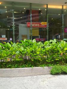 Gallery image of BINJAI 8 KLCC By Moonlight in Kuala Lumpur +39 photos