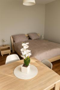Un pat sau paturi într-o cameră la Apartament 35 Tuchola