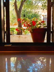 Κήπος έξω από το Armiriki Seafront House +36 φωτογραφίες