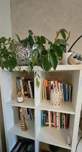 a white book shelf with plants and books at Reims Center Cathedral View in Reims +16 photos