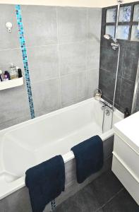 a bathroom with a white bath tub with a window at Reims Center Cathedral View in Reims
