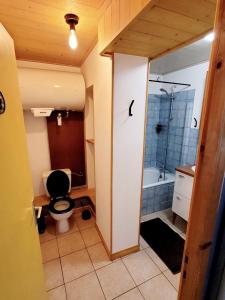 a bathroom with a toilet and a bath tub at Appart-hôtel original facile d'accès in Chapareillan