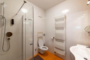 a bathroom with a shower and a toilet and a sink at Luxury apartments Prežin in Pohorje +59 photos