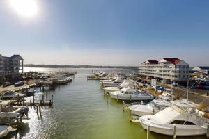 Φυσικό τοπίο κοντά σε αυτό το διαμέρισμα