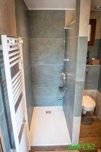 Un baño con ducha y WC. en A l'Orée du Maquis Villa 6 personnes, en Bonifacio