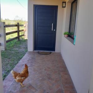 Billede fra billedgalleriet på La Casita Vacapy i Mercedes