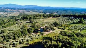 una vista aérea de un viñedo con árboles en Wonderful New Villa in Maremma near Montalcino, en Camigliano