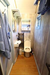 a small bathroom with a toilet and a sink at Badger's Den Shepherd's Hut in Mollington