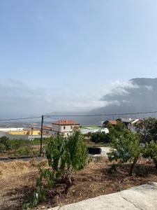 Φυσικό τοπίο κοντά σε αυτό το διαμέρισμα