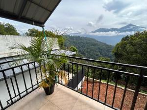 uma planta em uma varanda com vista para as montanhas em The Tea Leaf Munnar em Anachal