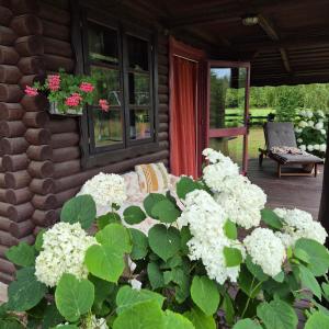 Un porche de una cabaña de troncos con flores blancas. en Wieża marzeń, en Dąbrowa Grodzieńska-Wieś