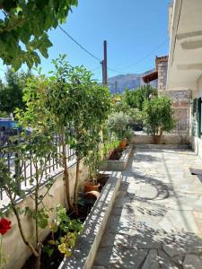 Γενική θέα στο βουνό ή θέα στο βουνό από  αυτό το διαμέρισμα