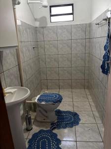 a bathroom with a toilet and a sink at Microcasa 01 in Tangara da Serra