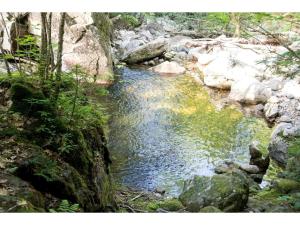a stream of water with rocks in a forest at Authentic Tipi Set in the Stunning Woodland of the White Mountain National Forest, New Hampshire in Chatham