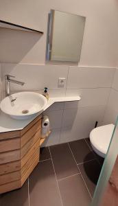 ミュンジンゲンにあるÜbernachten im Münsinger "Albgut" - Hotelzimmer, Ferienwohnungen und Stubenの洗面台とトイレ付きのバスルーム +12枚の写真