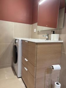 Un baño con lavabo y lavadora. en L'Olivier - appartement cozy au centre de Poitiers, en Poitiers