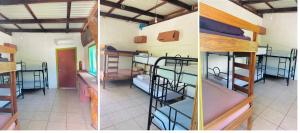 Ένα ή περισσότερα κρεβάτια σε δωμάτιο στο Backpackers Cultural Hostel