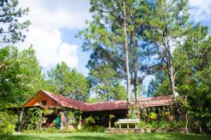 Taman di luar Villa Verde