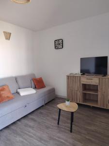 ein Wohnzimmer mit Sofa und Fernseher in der Unterkunft Les Hauts de Balaruc THERMES in Balaruc-les-Bains