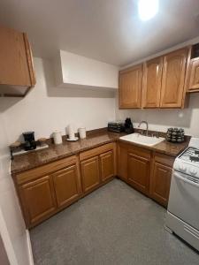 ブルックリンにあるLuxury 2-bedroom and 1-bathroomのキッチン(木製キャビネット、シンク、コンロ付) +10枚の写真