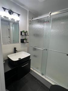 ブルックリンにあるLuxury 2-bedroom and 1-bathroomのガラスのシャワーと洗面台を備えたバスルーム