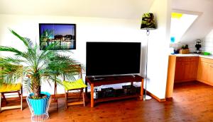 sala de estar con TV y maceta en Baumwipfelnest, en Seevetal