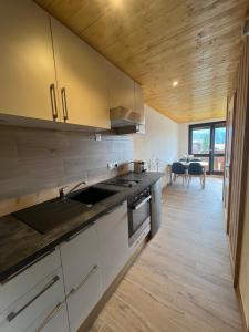 a kitchen with a sink and a counter top at Appartement au centre des Carroz in Arâches-la-Frasse